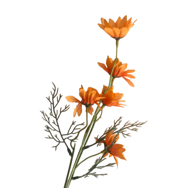 Orange Rylee Daisy Spray