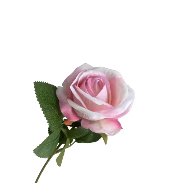 Pastel Pink Ombre Sara Mini Velvet Rose