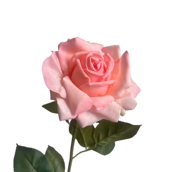 Pink Eva Real Touch Rose