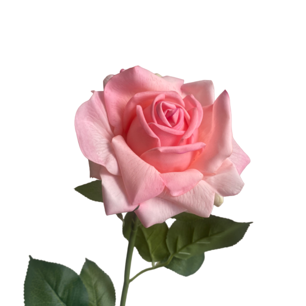 Pink Eva Real Touch Rose