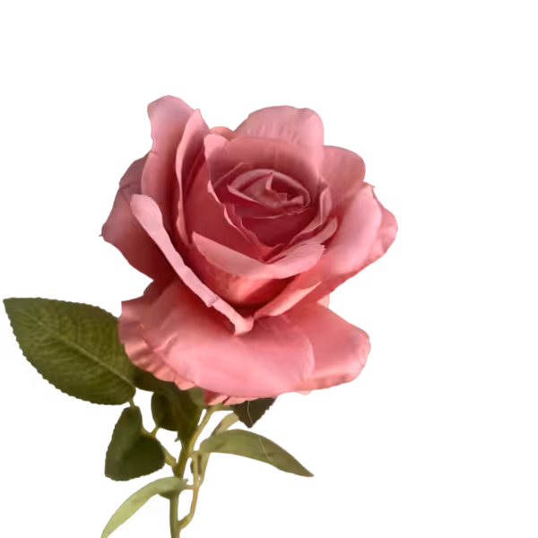 Pink Nova Silk Rose