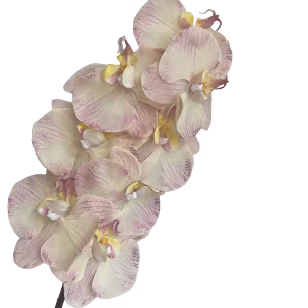 Pink Vein Alexia Luxe Real Touch 8-Head Orchid