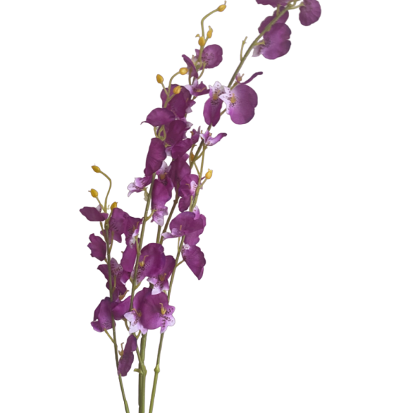 Purple Dana Dancing Orchid
