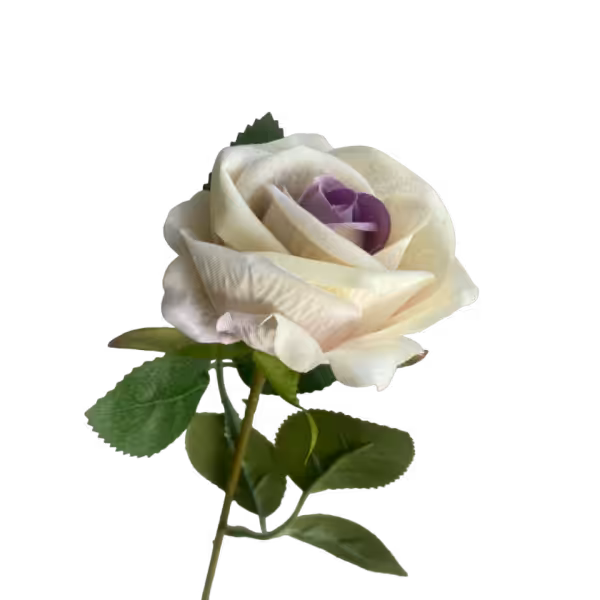 Purple Ombre Sara Mini Velvet Rose
