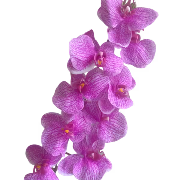 Purple Vein Victoria Real Touch 9-Head Orchid