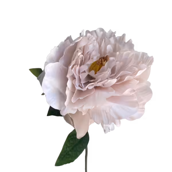 Quicksand Evelyn Silk Peony