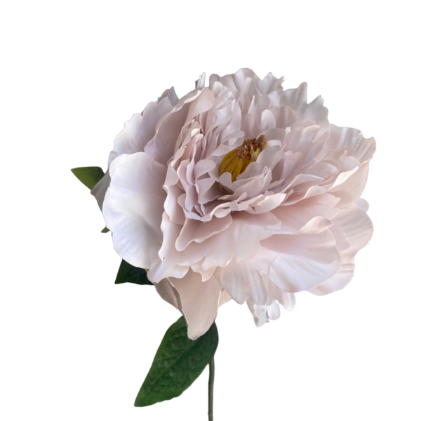 Quicksand Evelyn Silk Peony