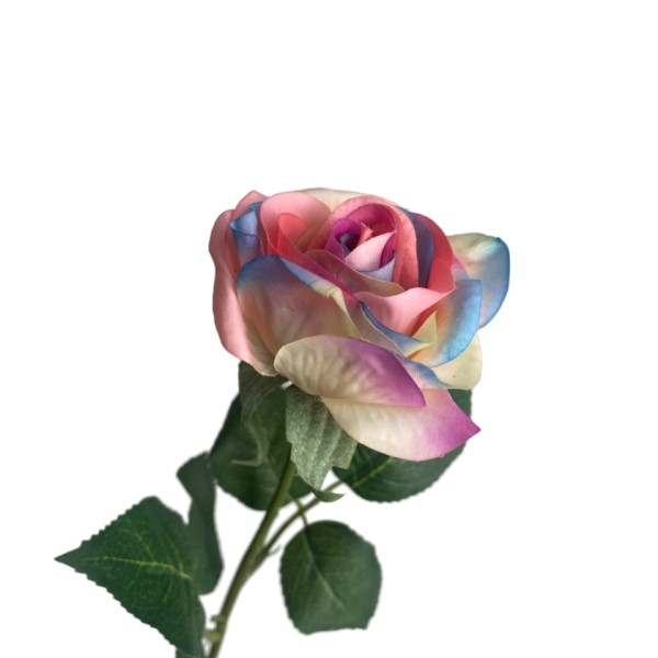 Rainbow Ella Real Touch Rose