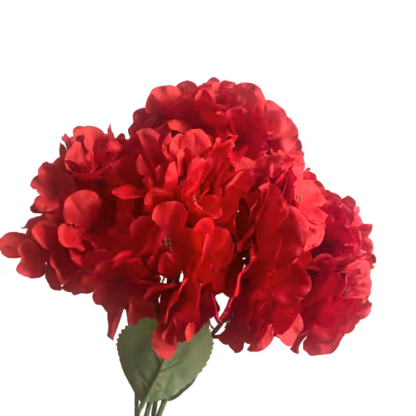 Red Bianca 5-Head Hydrangea Bunch