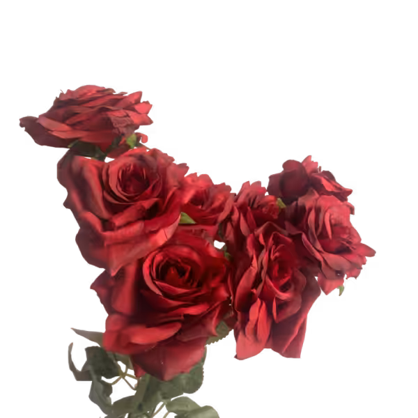 Red Isabella 9-Head Rose Bunch