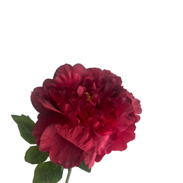 Red Evelyn Silk Peony