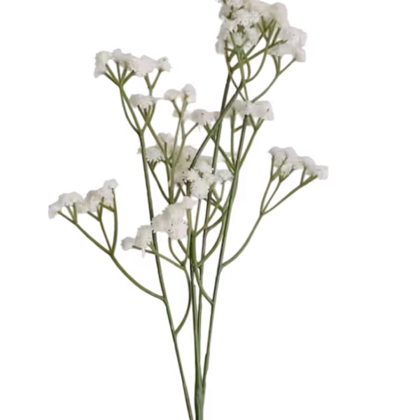 Green Brianna Baby Breath