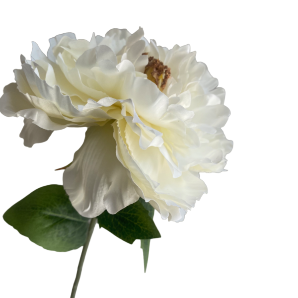 White Evelyn Silk Peony