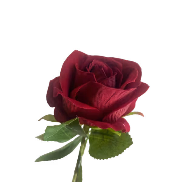 Wine Red Sara Mini Velvet Rose