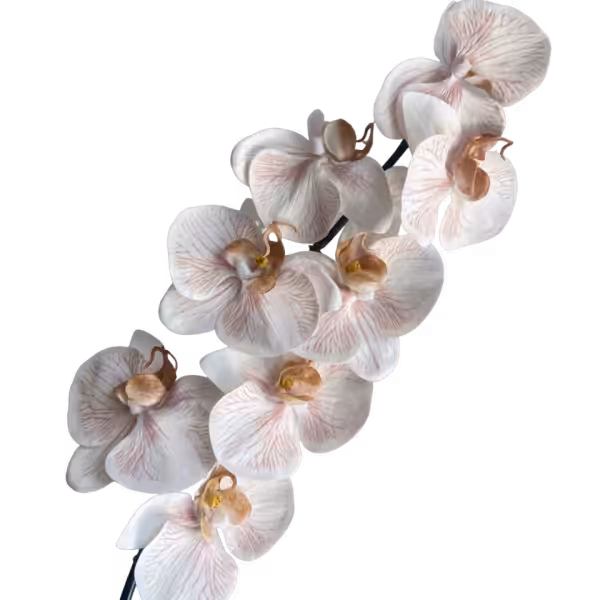 Nude Vein Alexia Luxe Real Touch 8-Head Orchid