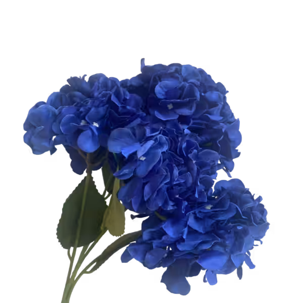 Royal Blue Bianca 5-Head Hydrangea Bunch