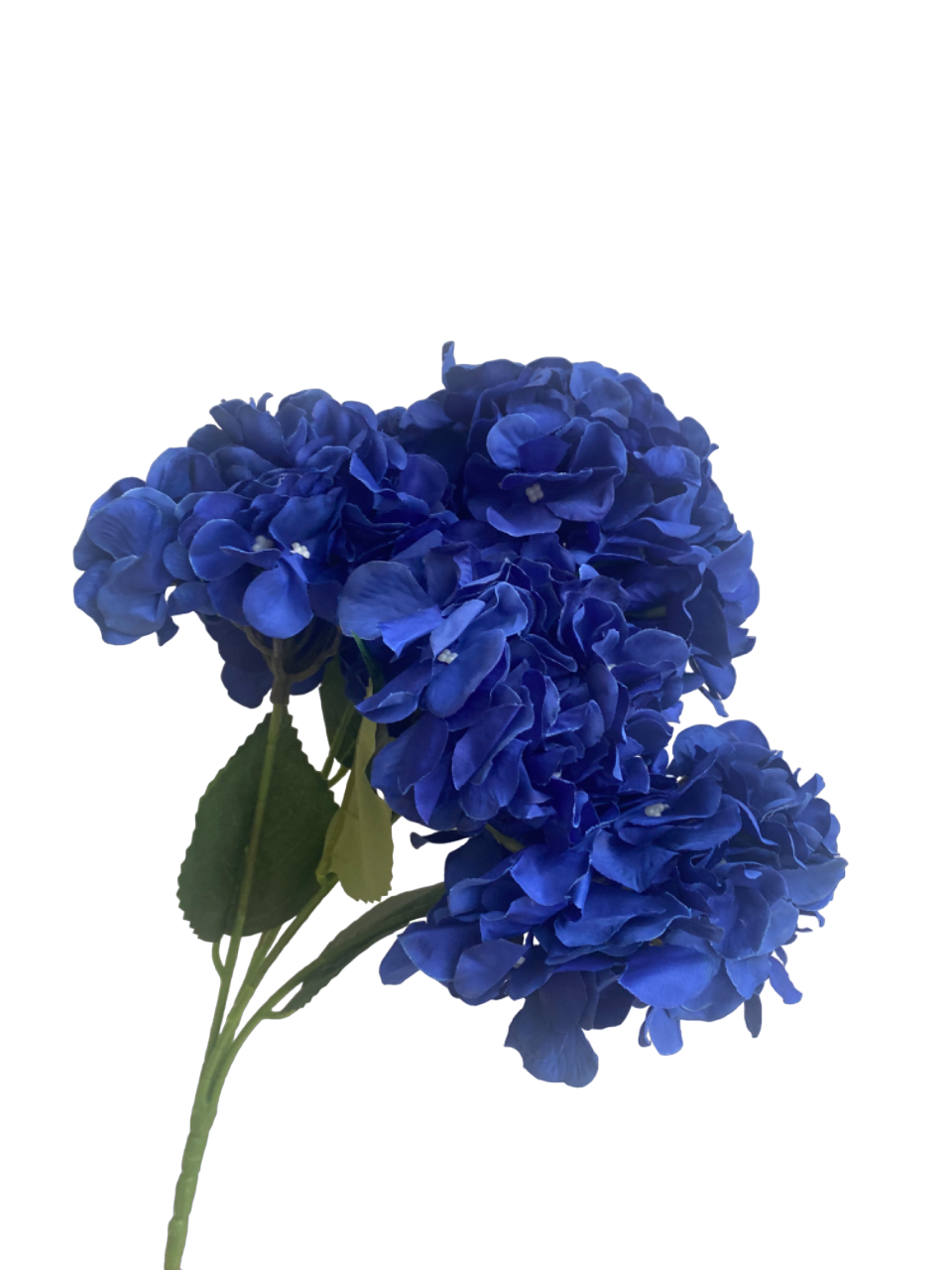 Royal Blue Bianca 5-Head Hydrangea Bunch