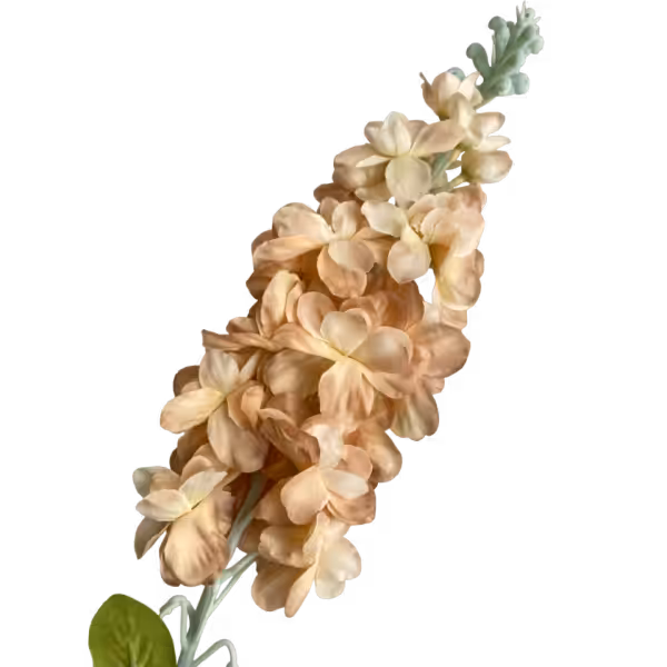 Latte Sadie Silk Delphinium