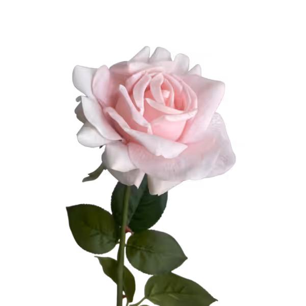 Caramel Eva Real Touch Rose