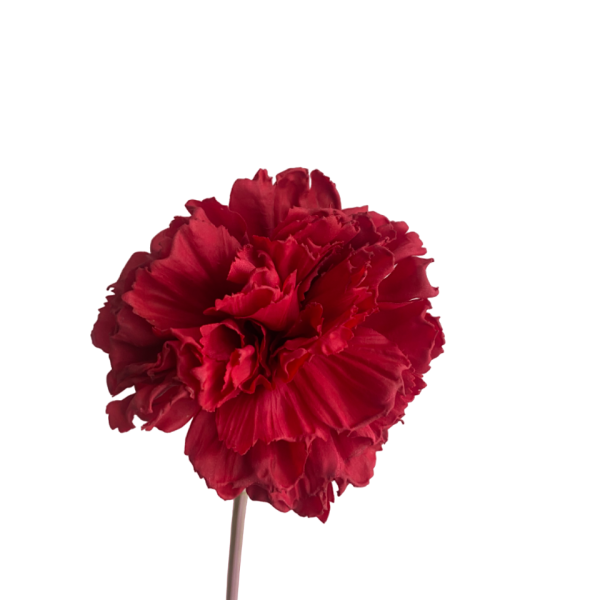 Red Lucy Real Touch Carnation