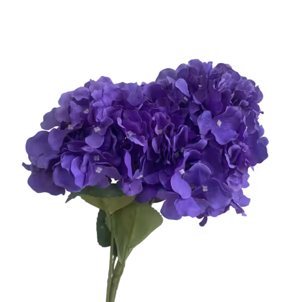 Purple Bianca 5-Head Hydrangea Bunch