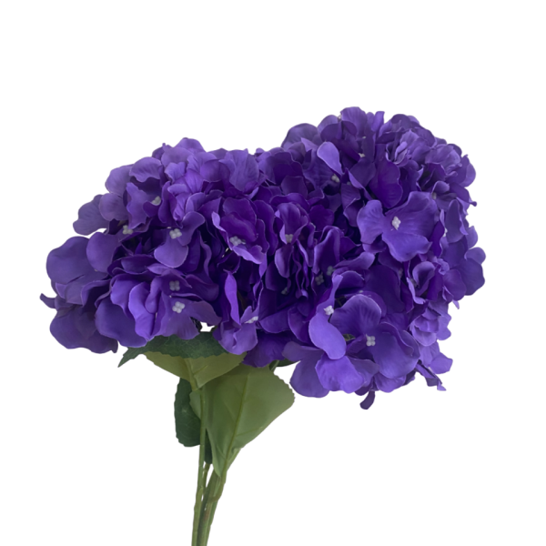 Purple Bianca 5-Head Hydrangea Bunch