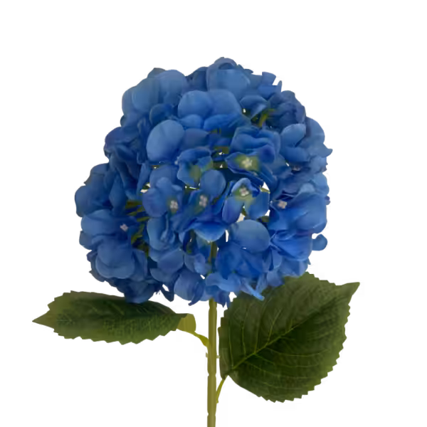 Blue Delta Hydrangea Stem