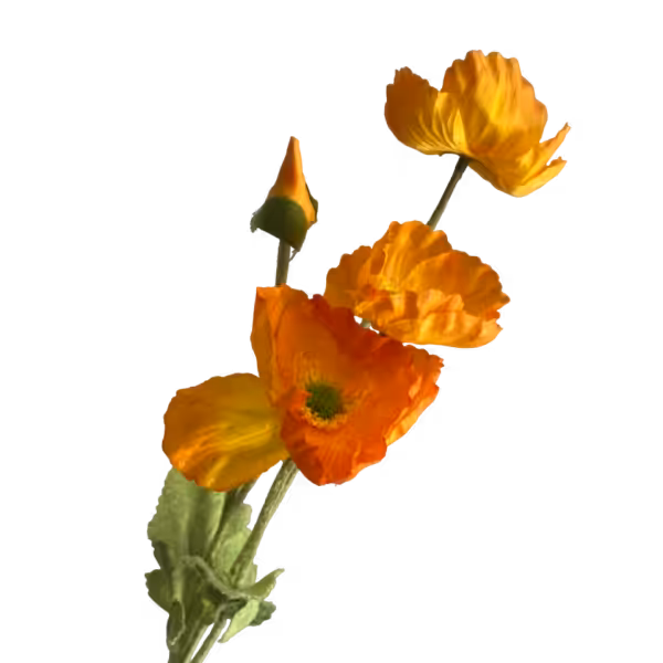 Bright Orange Elsie Poppy Spray
