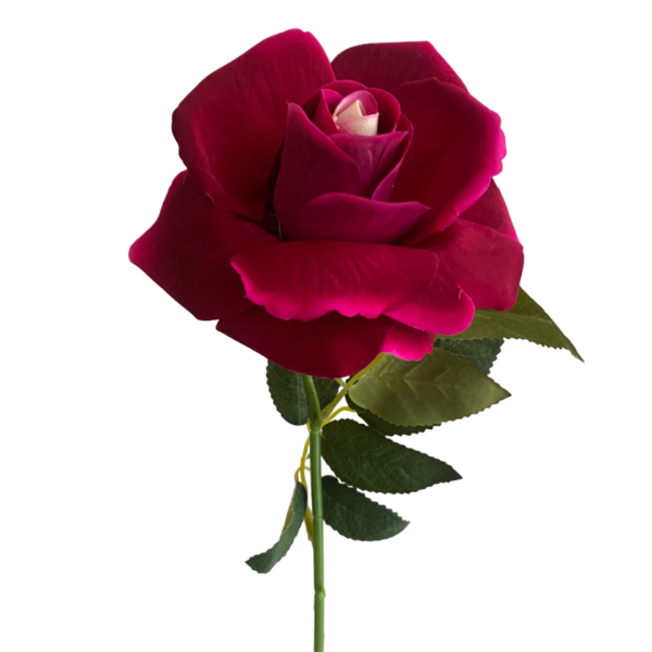 Hot Pink Bella Velvet Rose