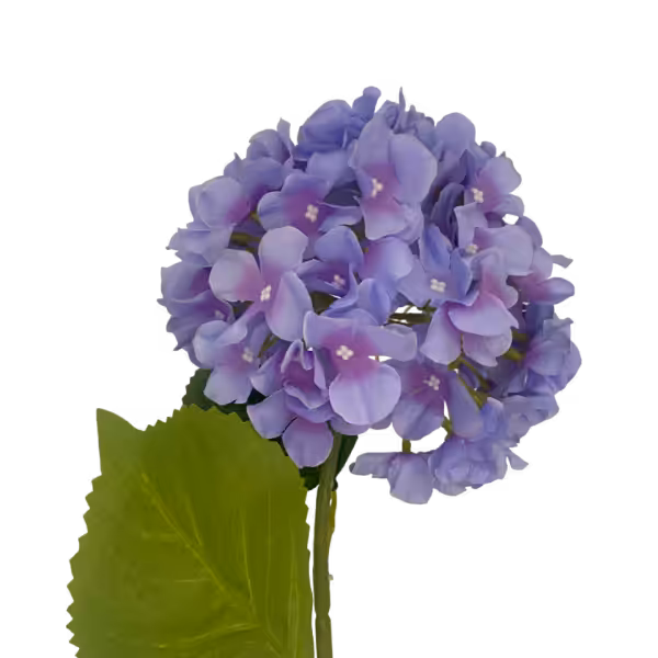 Lavender Blue Delta Hydrangea Stem