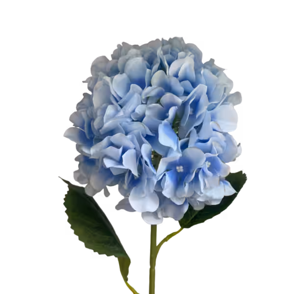 Light Blue Delta Hydrangea Stem