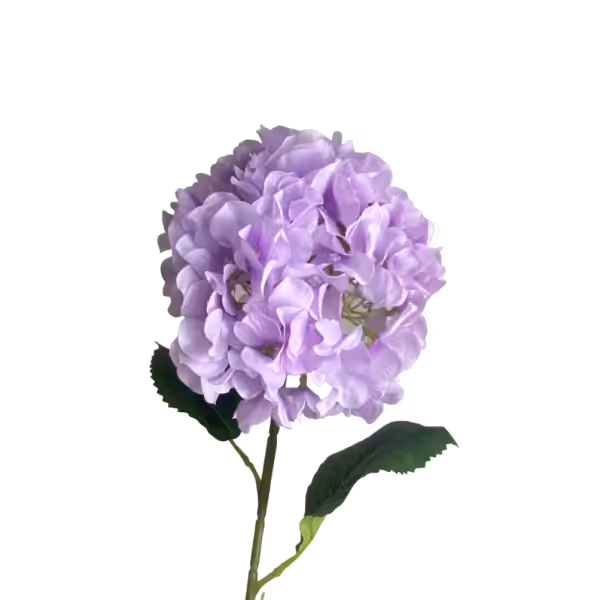 Lilac Delta Hydrangea Stem