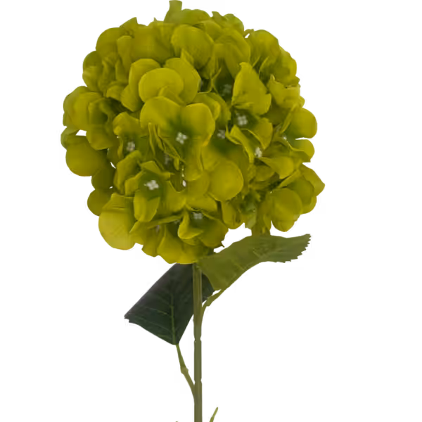 Lime Delta Hydrangea Stem