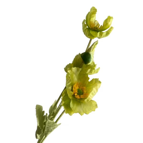 Lime Elsie Poppy Spray