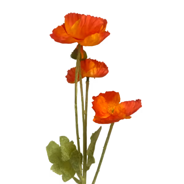 Orange Ombre Elsie Poppy Spray