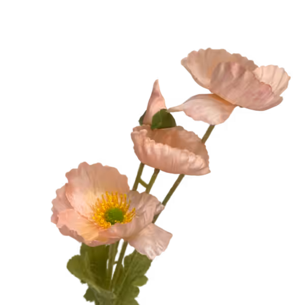 Peach Elsie Poppy Spray