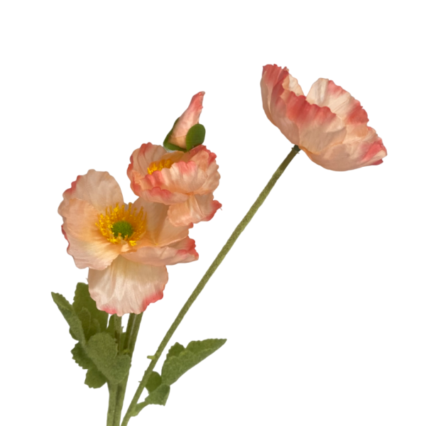 Peach Ombre Elsie Poppy Spray