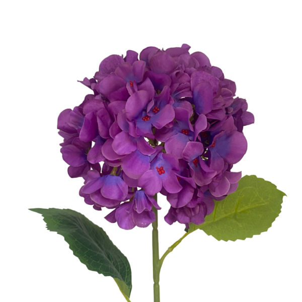 Purple Delta Hydrangea Stem