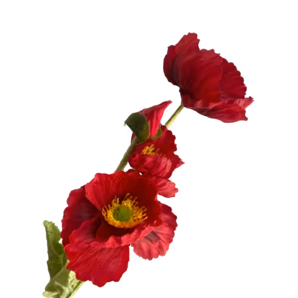 Red Elsie Poppy Spray