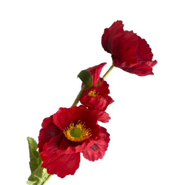 Red Elsie Poppy Spray