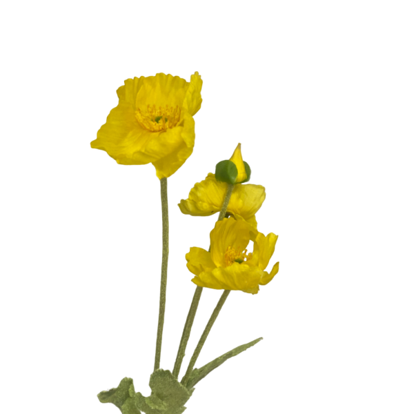Yellow Elsie Poppy Spray
