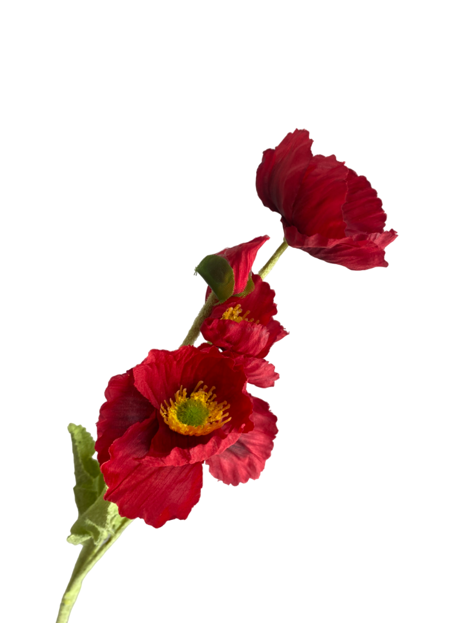 Red Elsie Poppy Spray