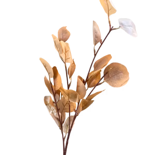 Brown Veronica Eucalyptus Spray