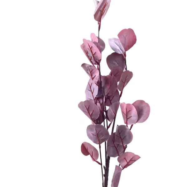 Burgundy Veronica Eucalyptus Spray