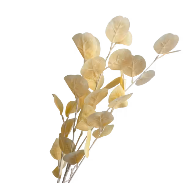 Champagne Veronica Eucalyptus Spray