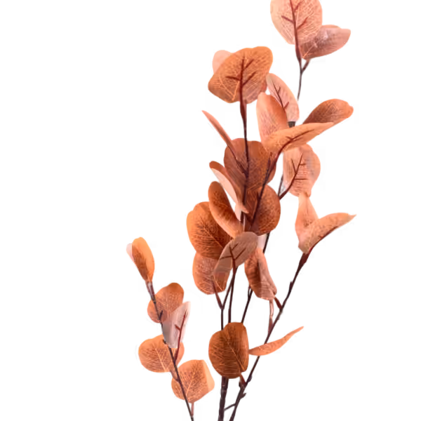 Rust Veronica Eucalyptus Spray