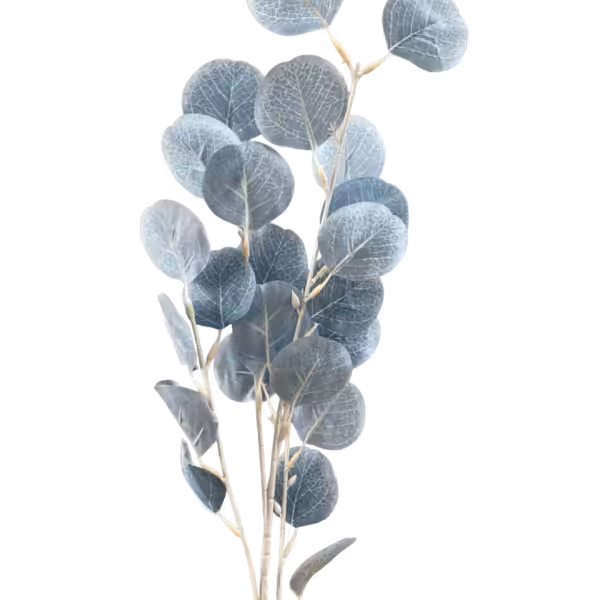 Slate Blue Veronica Eucalyptus Spray