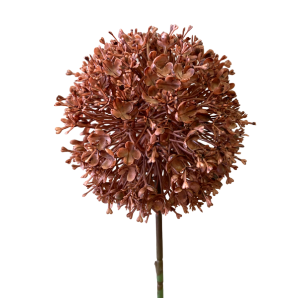 Brown Charlie Pom Pom