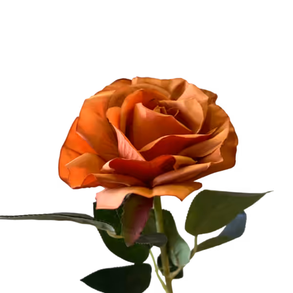 Burnt Orange Stella Silk Rose