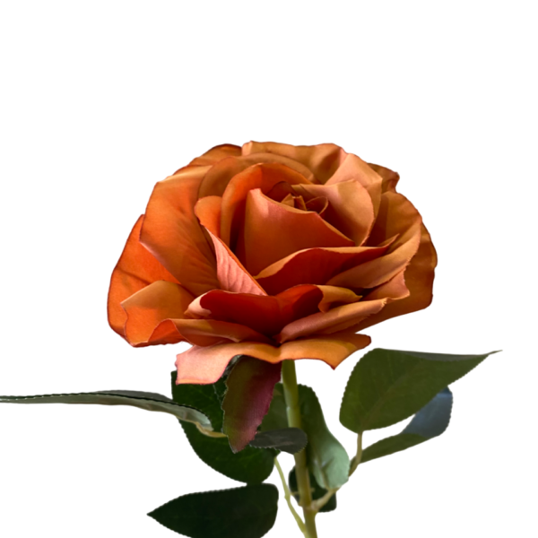 Burnt Orange Stella Silk Rose